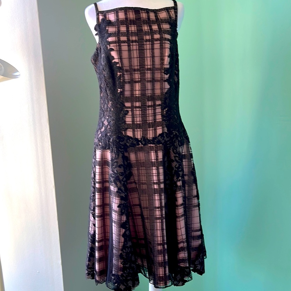 Tadashi Shoji size 12